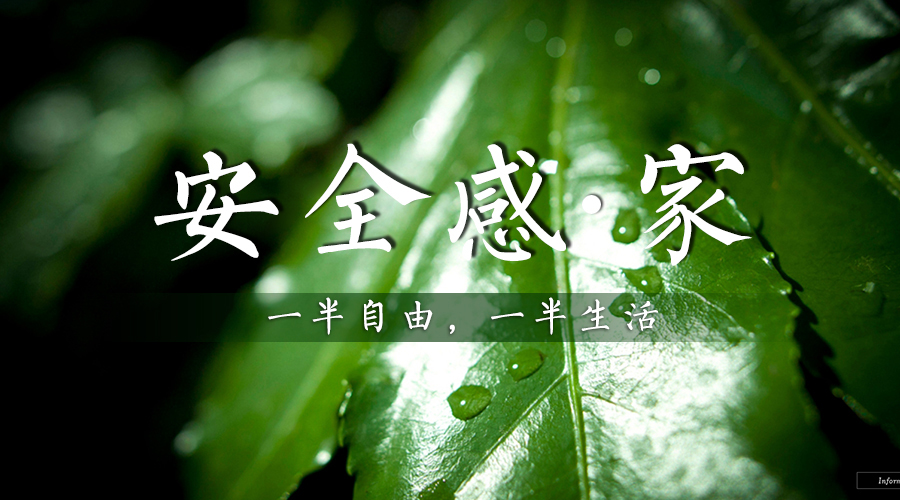 新西蘭智閣板材讓你住個有安全感的家