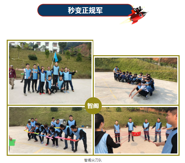 新西蘭智閣板材 新西蘭智閣板材