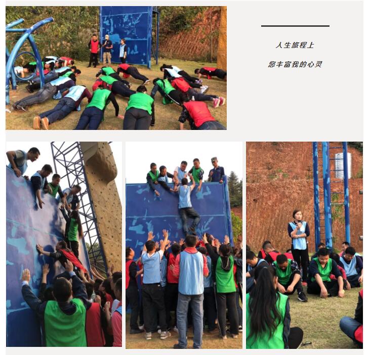 新西蘭智閣板材 新西蘭智閣板材