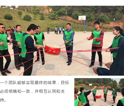 新西蘭智閣板材 新西蘭智閣板材