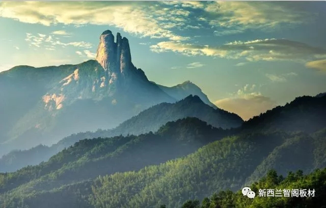 新西蘭智閣板材 新西蘭智閣板材